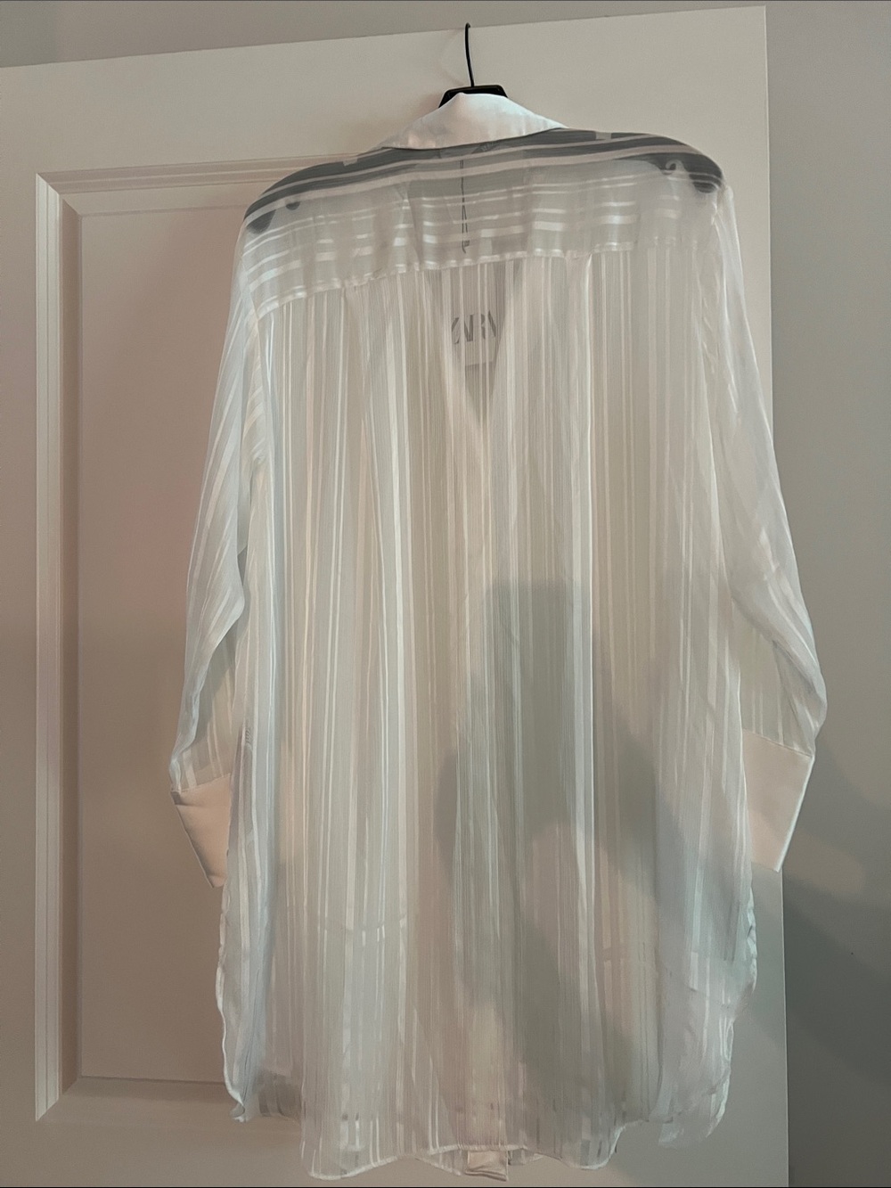 Zara White Sheer Button-Up Blouse - Picture 5 of 5